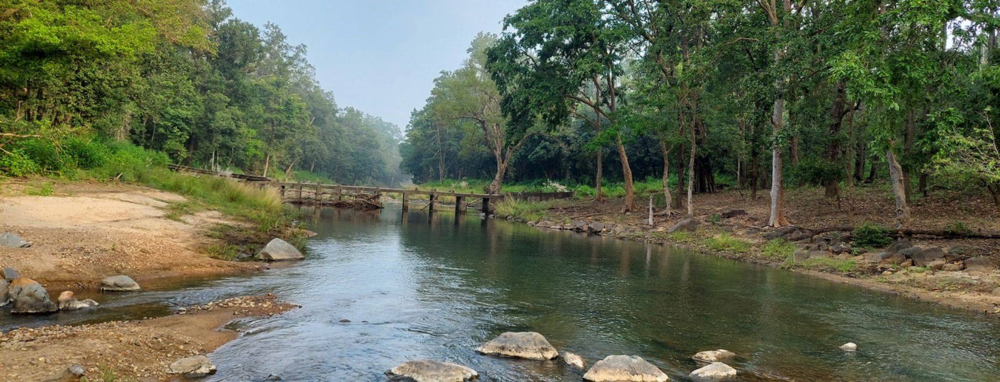 Sri Vidyalaya PU College sustainable woodland management
